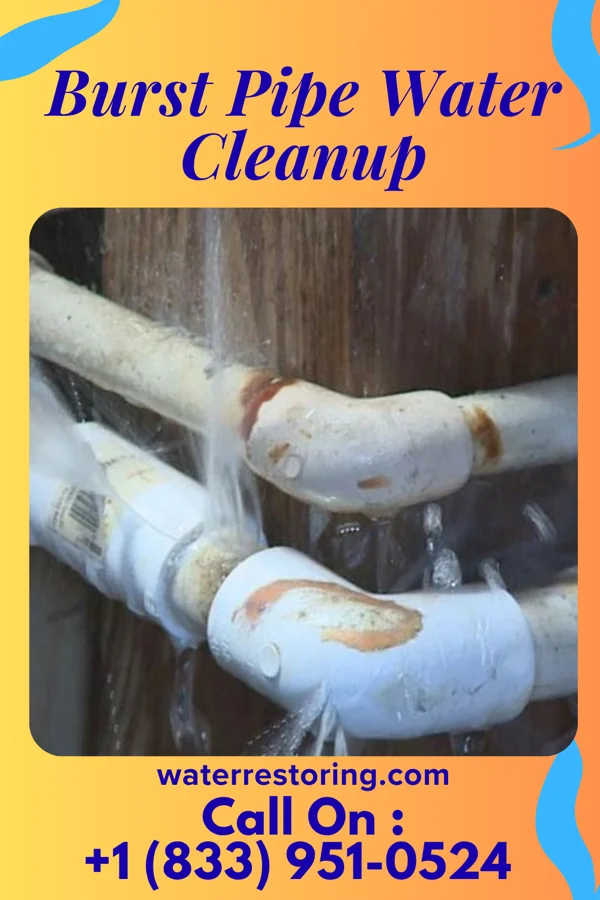 Burst Pipe Water Cleanup in Bloomington, IN