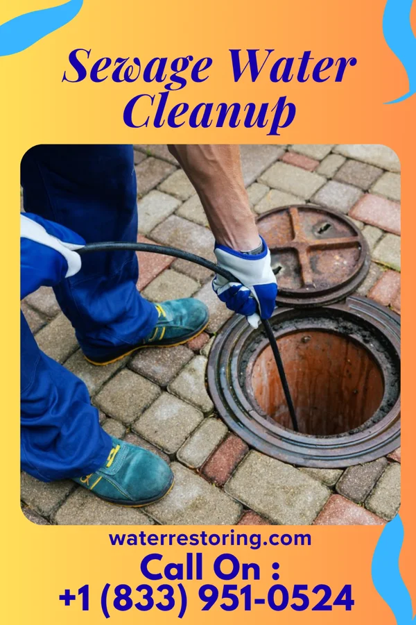 Sewage Water Cleanup in Bloomington, IN