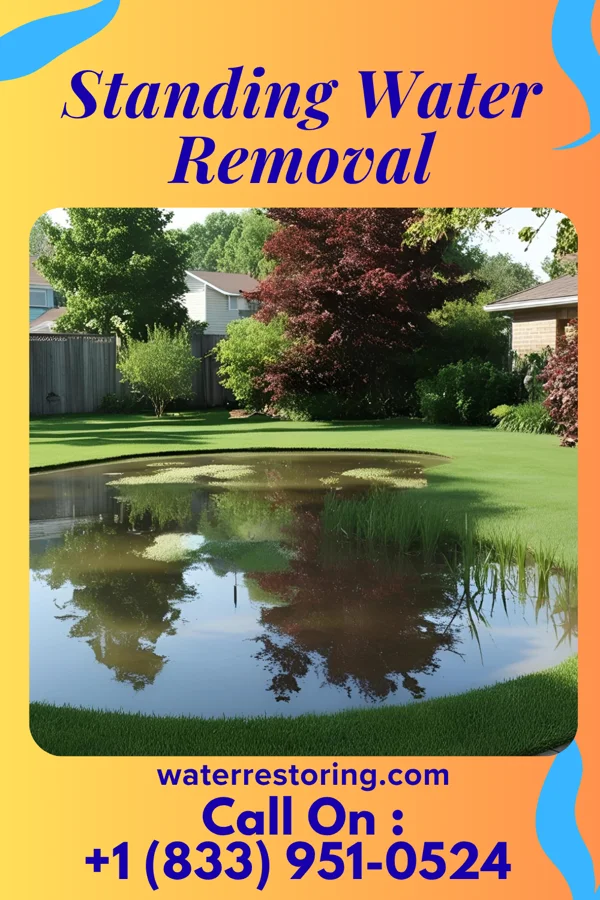 Standing Water Removal in Bloomington, IN